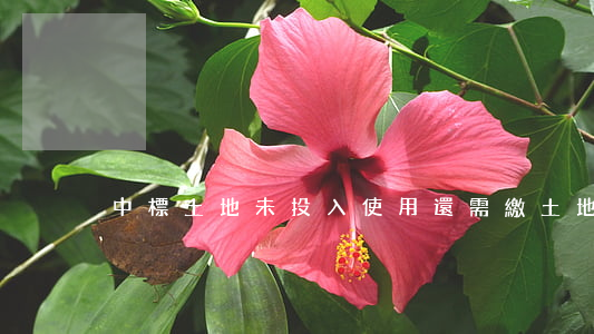 中標土地未投入使用還需繳土地使用稅嗎