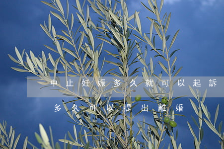 中止妊娠多久就可以起訴離婚(妻子終止妊娠多久可以提出離婚)