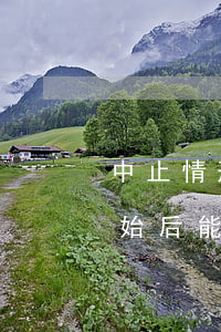 中止情形未消失法院可以拍賣嗎(司法拍賣開始后能停止拍賣嗎)