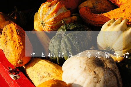中止执行后工资还能冻结多少
