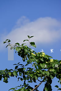 中海寰宇錦城產(chǎn)權(quán)逾期 中海寰宇天下錦城房價(jià)