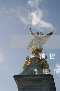 中消協(xié)：促進(jìn)巨額懲罰性賠償制度落地