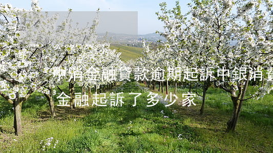 中消金融貸款逾期起訴(中銀消費(fèi)金融起訴了多少家)