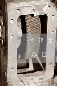 中消金融逾期會被起訴嗎(消費金融逾期會被起訴)