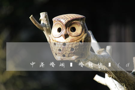 中港婚姻離婚能快點(diǎn)嗎