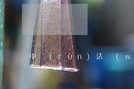 中潤(rùn)法務(wù)是什么