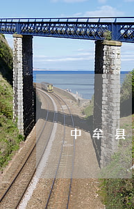中牟县酒驾交通事故(中牟县酒驾交通事故)