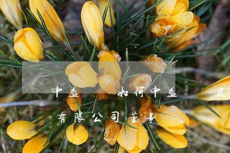 中益誠達如何(中益誠達建設(shè)集團有限公司董事長)
