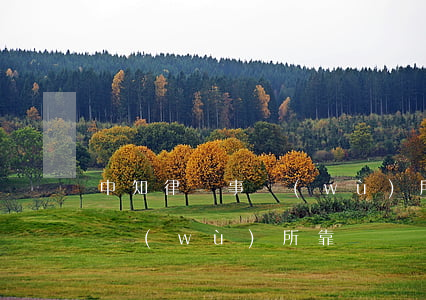 中知律師事務(wù)所怎么樣(知榮律師事務(wù)所靠譜嗎)