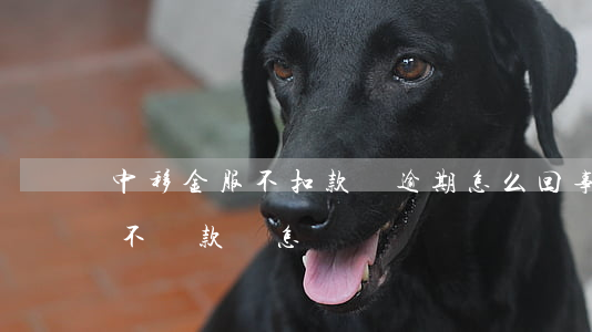 中移金服不扣款說逾期怎么回事-中移金服不還款會怎樣