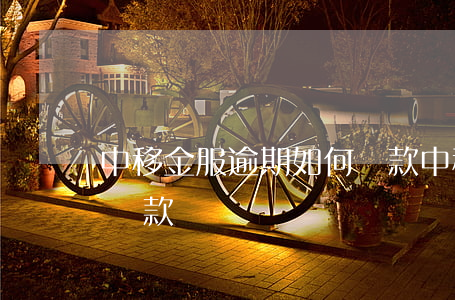 中移金服逾期如何還款(中移金服app如何還款)