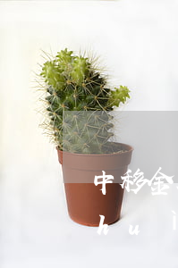 中移金服逾期從哪還款(中移金服不還款會(huì)怎樣)