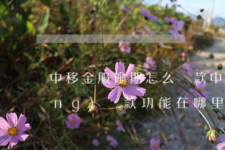 中移金服逾期怎么還款(中移金服主動(dòng)還款功能在哪里)