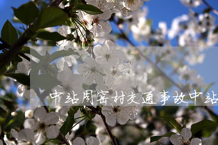 中站周窑村交通事故(中站周窑村交通事故)