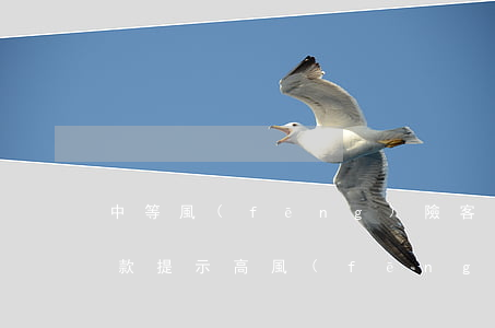 中等風(fēng)險客戶貸款逾期(銀行貸款提示高風(fēng)險客戶)