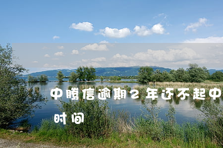 中腾信逾期2年还不起(中腾信逾期最长多少时间)