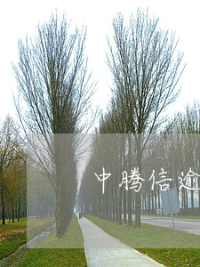 中腾信逾期最长多少时间还不起-