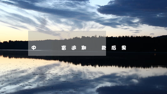 中興財富逾期還款后果