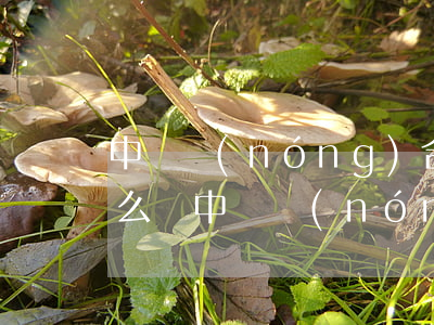 中興農(nóng)合逾期了把我起訴了怎么辦(中興農(nóng)合逾期了把我起訴了怎么辦)