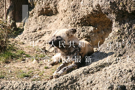 中華人民共和國(guó)勞動(dòng)合同法最新內(nèi)容是什么
