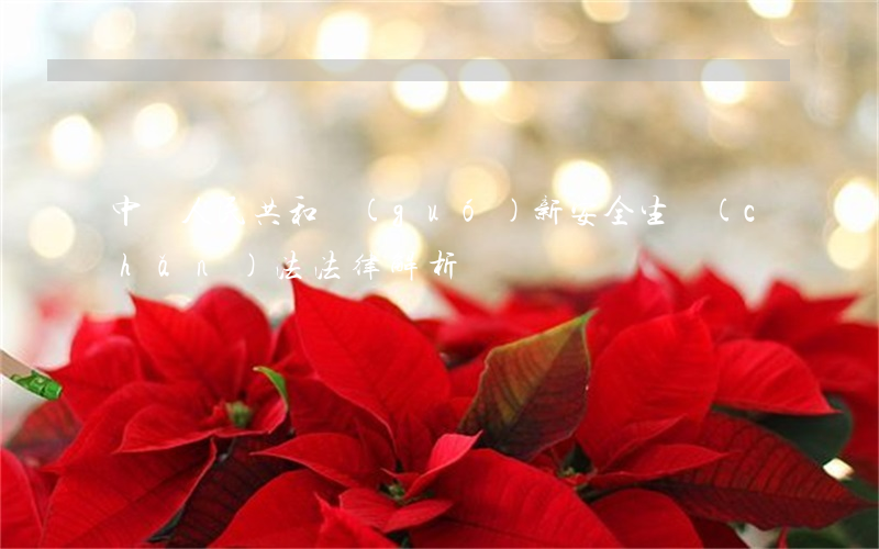 中華人民共和國(guó)新安全生產(chǎn)法法律解析