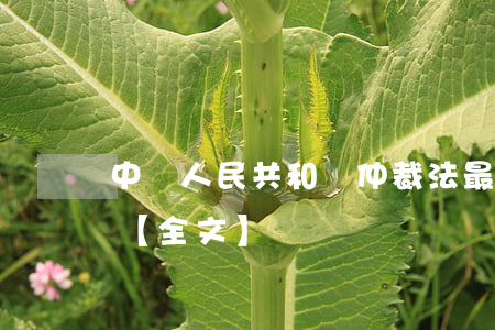 中華人民共和國仲裁法最新修正版2023【全文】