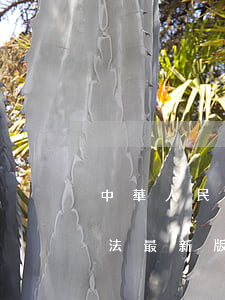 中華人民共和國公共文化服務(wù)保障法最新版全文2023