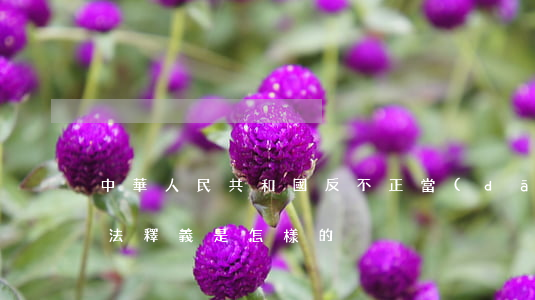 中華人民共和國反不正當(dāng)競爭法釋義是怎樣的