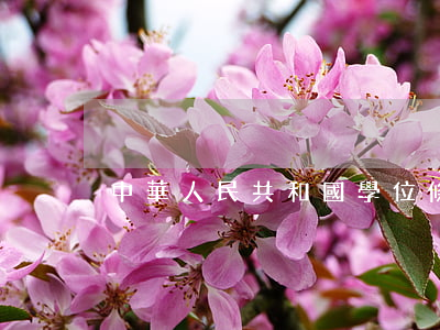 中華人民共和國學位條例暫行實施辦法