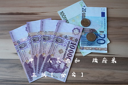 中華人民共和國政府采購法2023最新修正版【全文】
