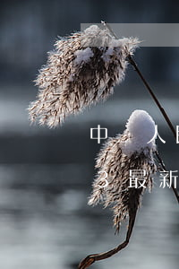 中華人民共和國海島保護(hù)法2023最新版【全文】