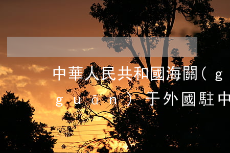 中華人民共和國海關(guān)總署關(guān)于外國駐中國使館和使館人員進(jìn)出境物品的規(guī)定