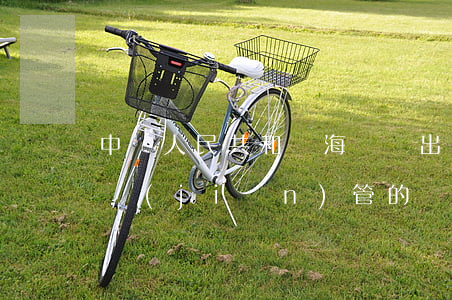 中華人民共和國海關對出口加工區(qū)監(jiān)管的暫行辦法