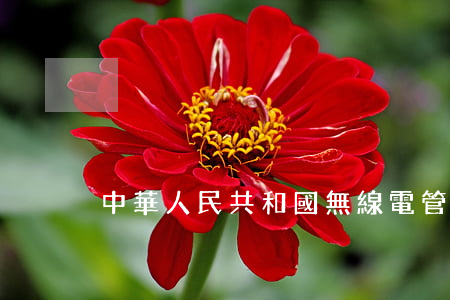 中華人民共和國無線電管理條例