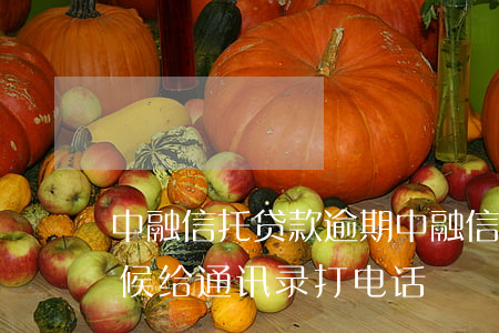 中融信托贷款逾期(中融信托贷款逾期什么时候给通讯录打电话)