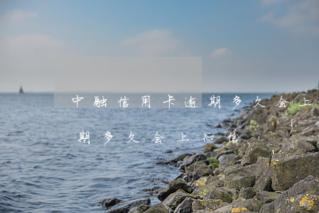 中融信用卡逾期多久会上征信(中融信用卡逾期多久会上征信)