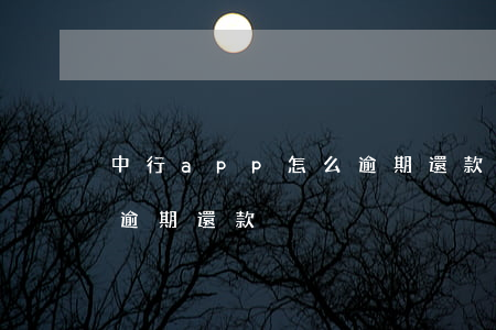 中行app怎么逾期還款(中國銀行房貸顯示逾期還款)