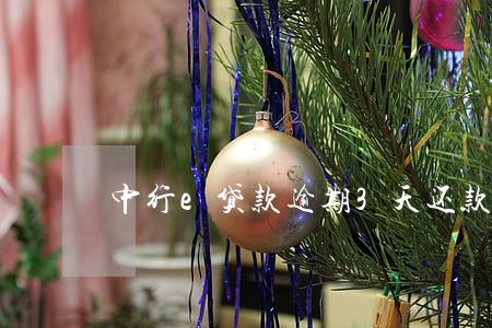 中行e贷款逾期3天还款(中银e贷到期)
