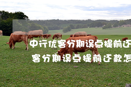 中行优客分期误点提前还款怎么办-中行优客分期误点提前还款怎么办理