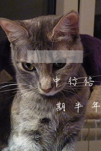 中行信用卡1万逾期一月(中信银行信用卡逾期半年一万三每天还几百)