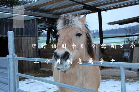 中行信用卡6万逾期3个月(信用卡6万逾期三个月利息是多少)