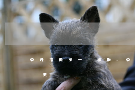 中行信用卡一張逾期-中行信用卡一張逾期兩天