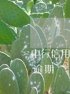 中行信用卡不小心逾期一天(中國銀行 信用卡 逾期)
