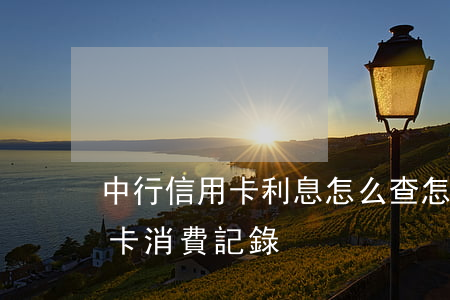 中行信用卡利息怎么查(怎么查中國銀行信用卡消費記錄)