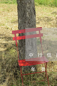 中行信用卡年費(fèi)逾期處理(銀行卡年費(fèi)逾期怎么辦)