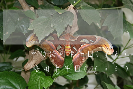 中行信用卡年費(fèi)逾期被解凍(中行信用卡年費(fèi)逾期被解凍)