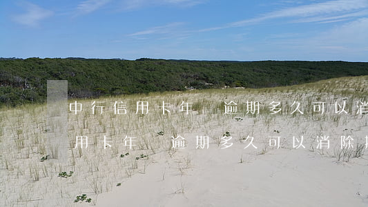 中行信用卡年費逾期多久可以消除-中行信用卡年費逾期多久可以消除掉