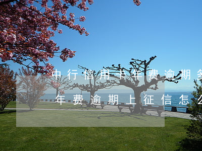 中行信用卡年费逾期多久可以消除(因信用卡年费逾期上征信怎么消除)