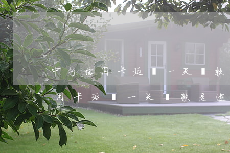 中行信用卡延遲一天還款是逾期嗎-中行信用卡延遲一天還款是逾期嗎怎么辦