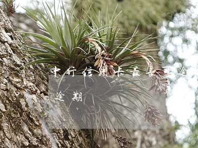 中行信用卡最长可逾期多少天(信用卡几天算逾期)